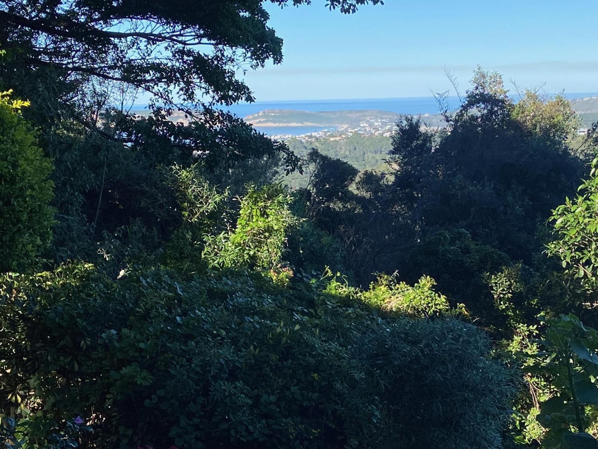 Castleton Self-Catering Accommodation Plettenberg Bay Bagian luar foto